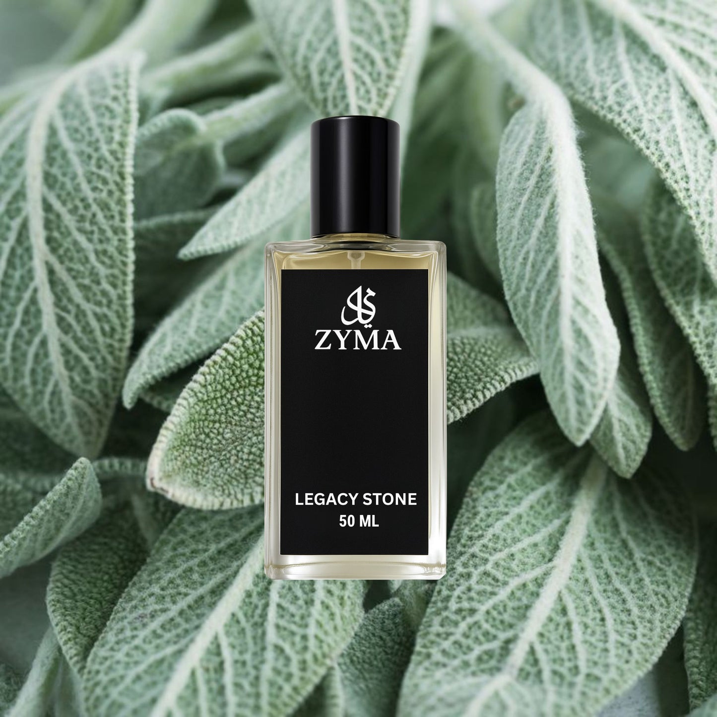 Legacy Stone | 50ML Men Fragrance